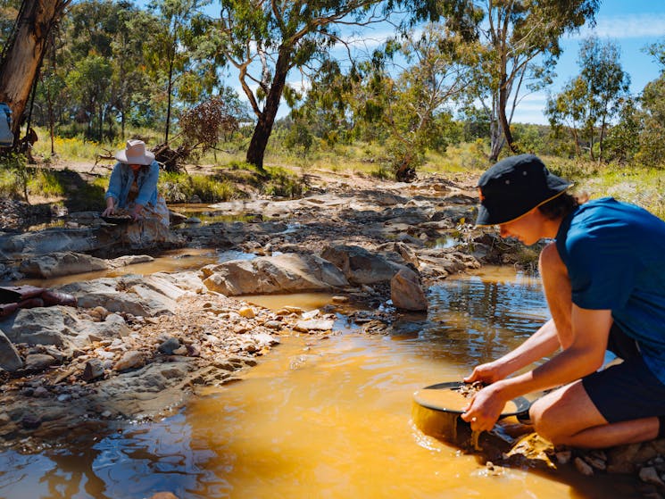 gold prospecting
