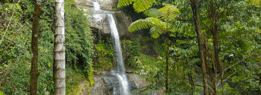 Explore Southeast Asia