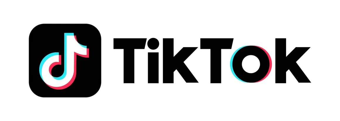 TikTok Followers