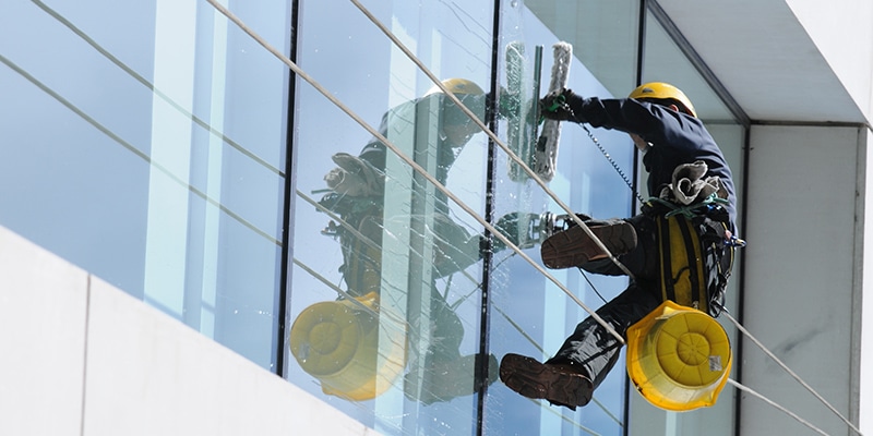Professional Window Cleaning